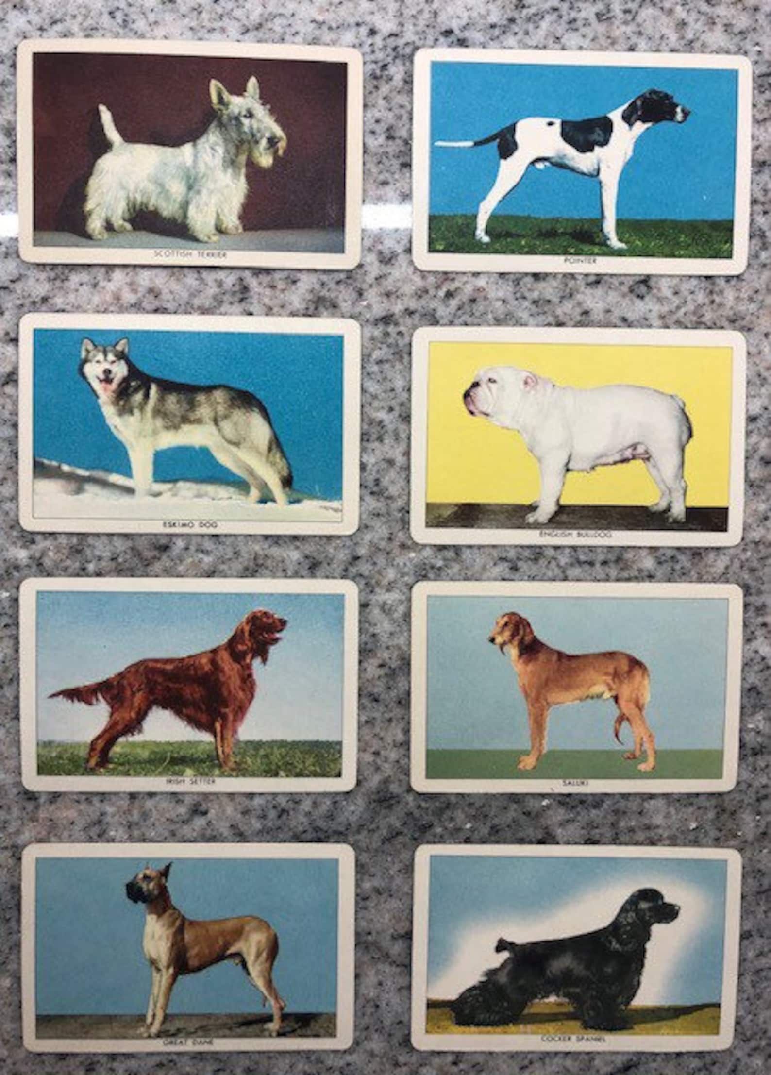 Set of 18 Vintage Dog Trading Cards Etsy UK