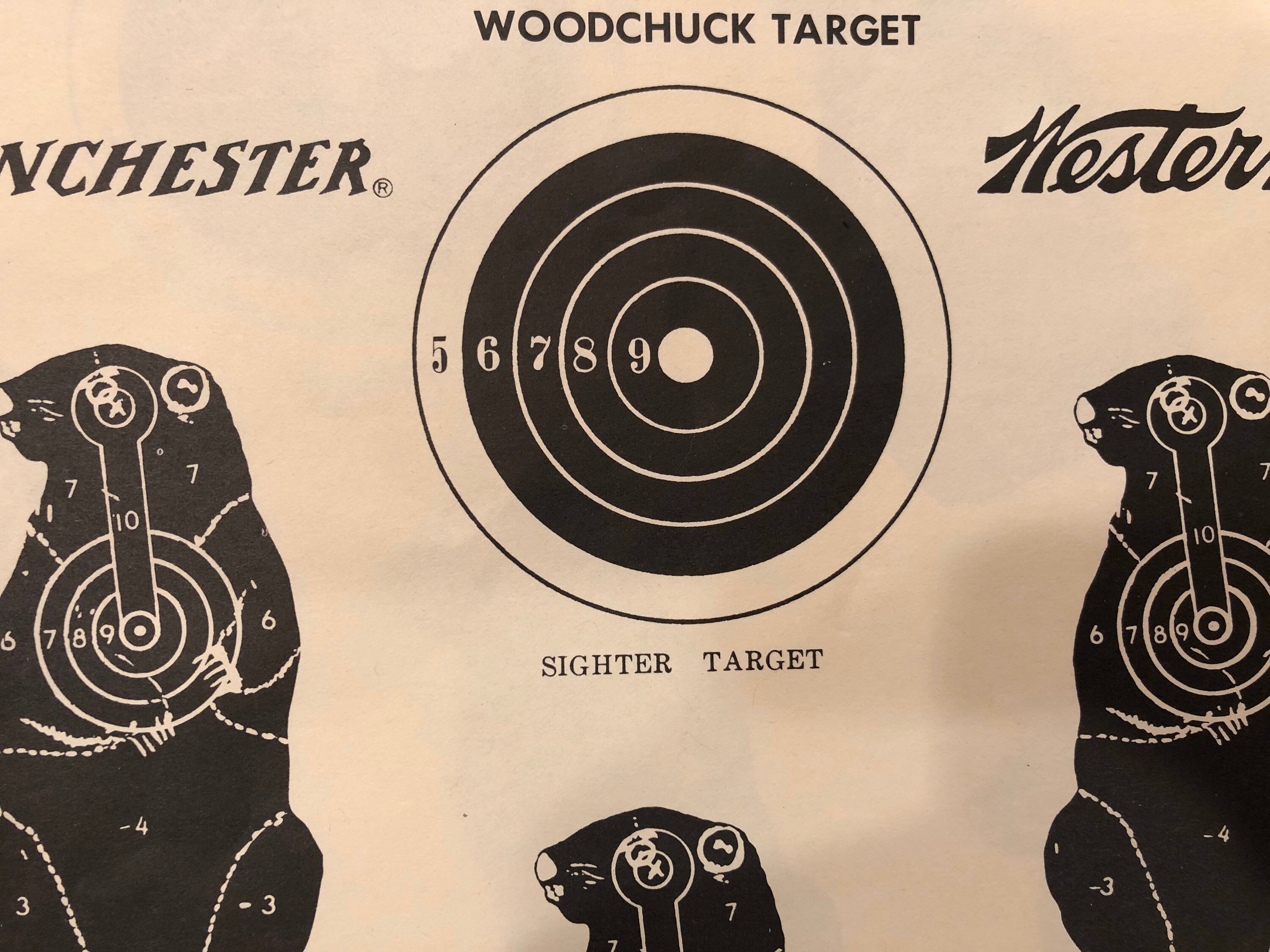 15 Pcs Vintage Woodchuck Target Practice - Etsy