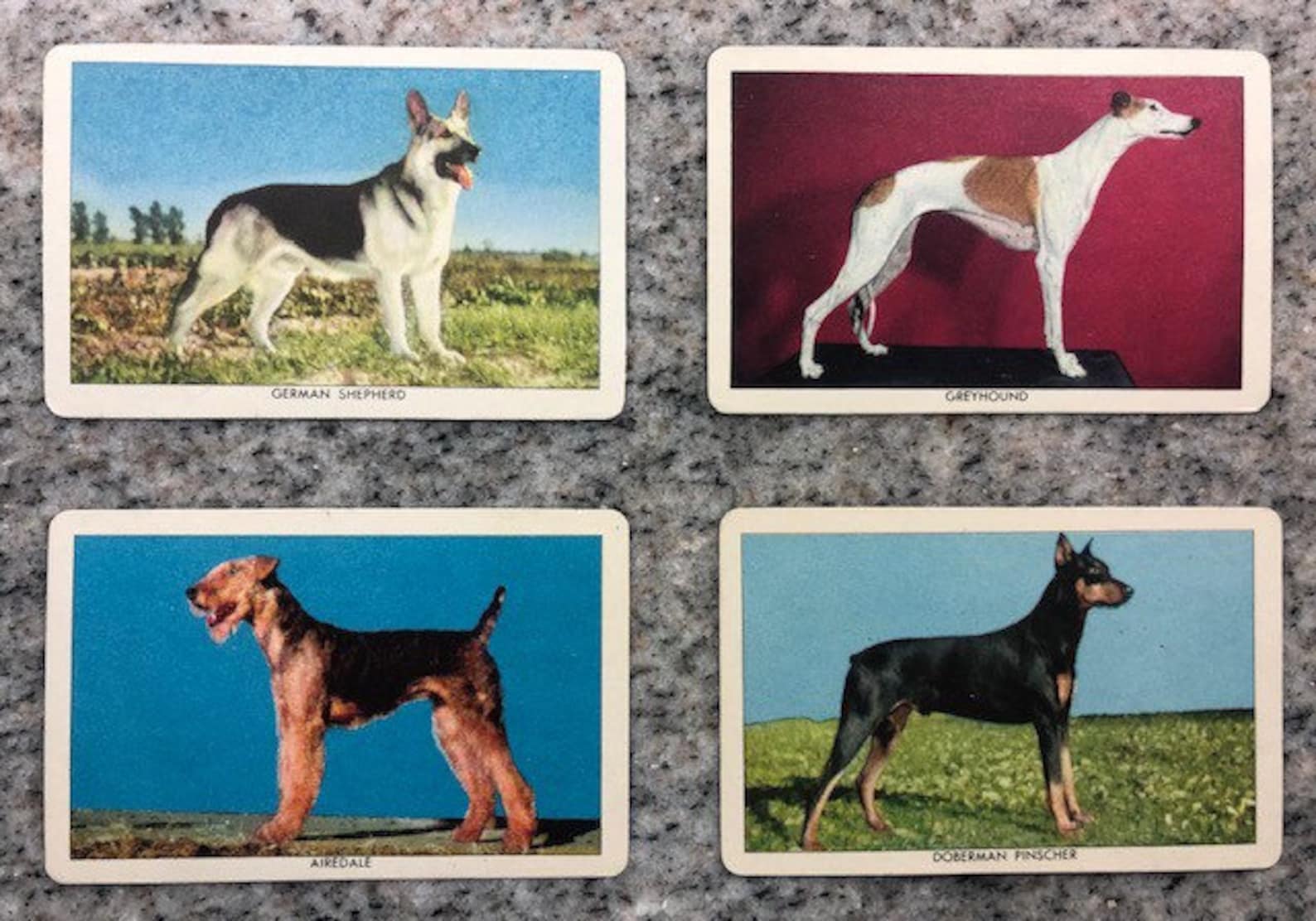 Set of 18 Vintage Dog Trading Cards Etsy UK