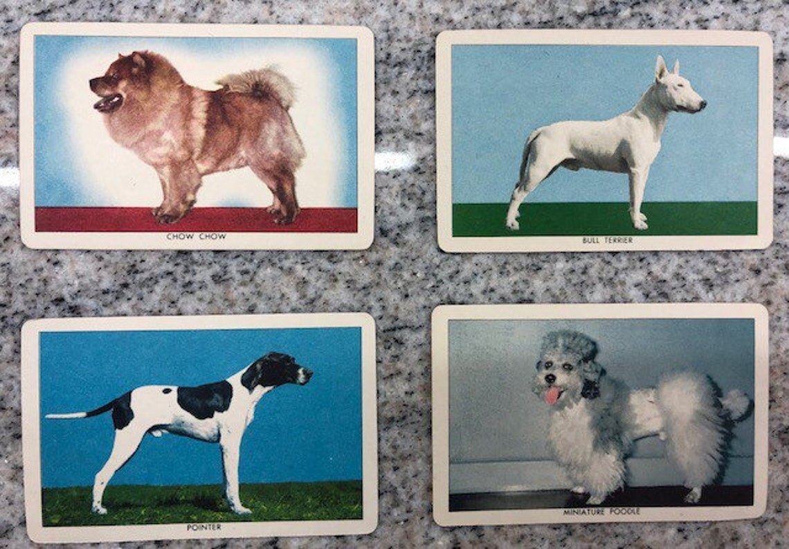 Set of 18 Vintage Dog Trading Cards Etsy UK