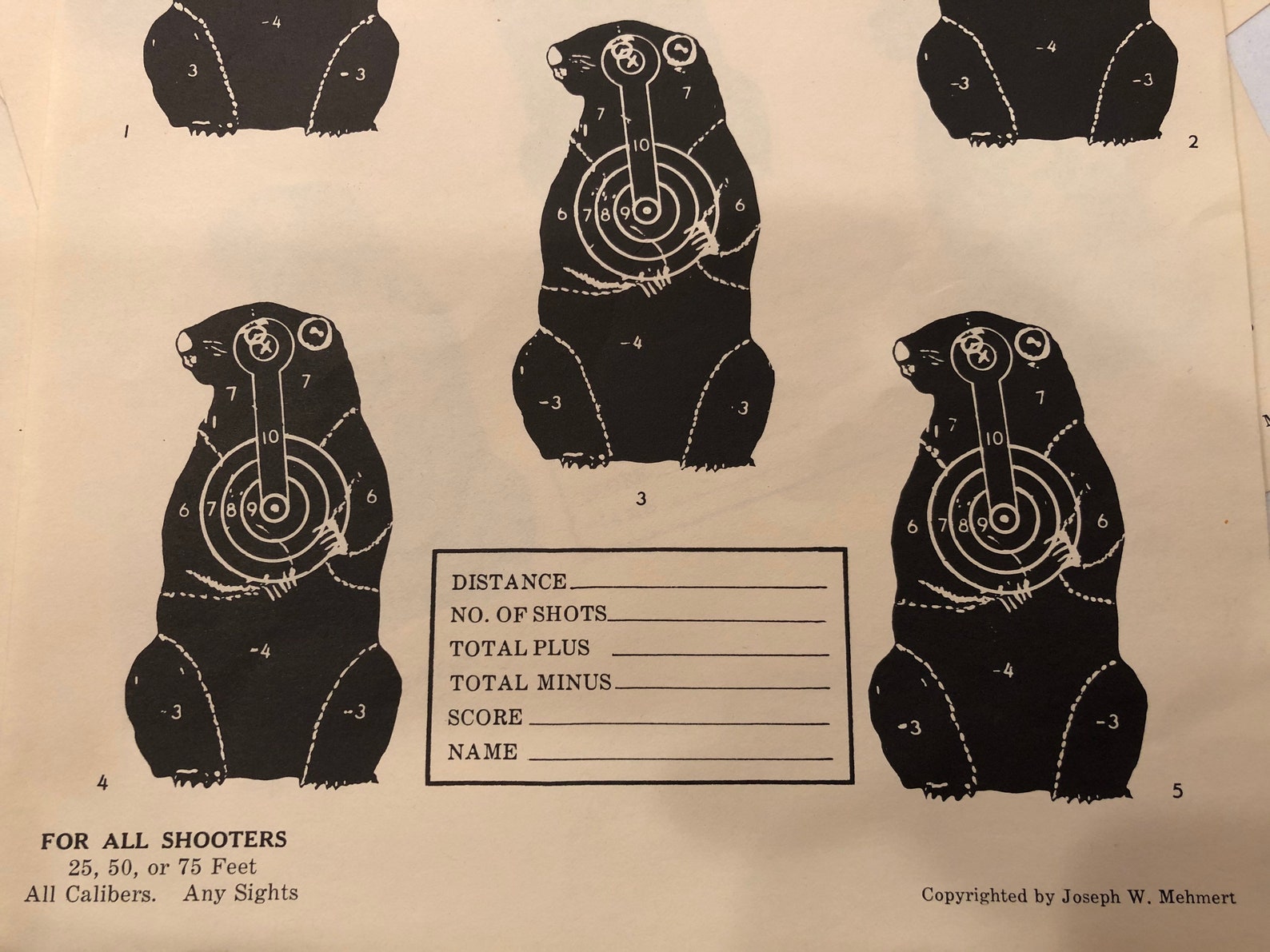 15 Pcs Vintage Woodchuck Target Practice - Etsy UK