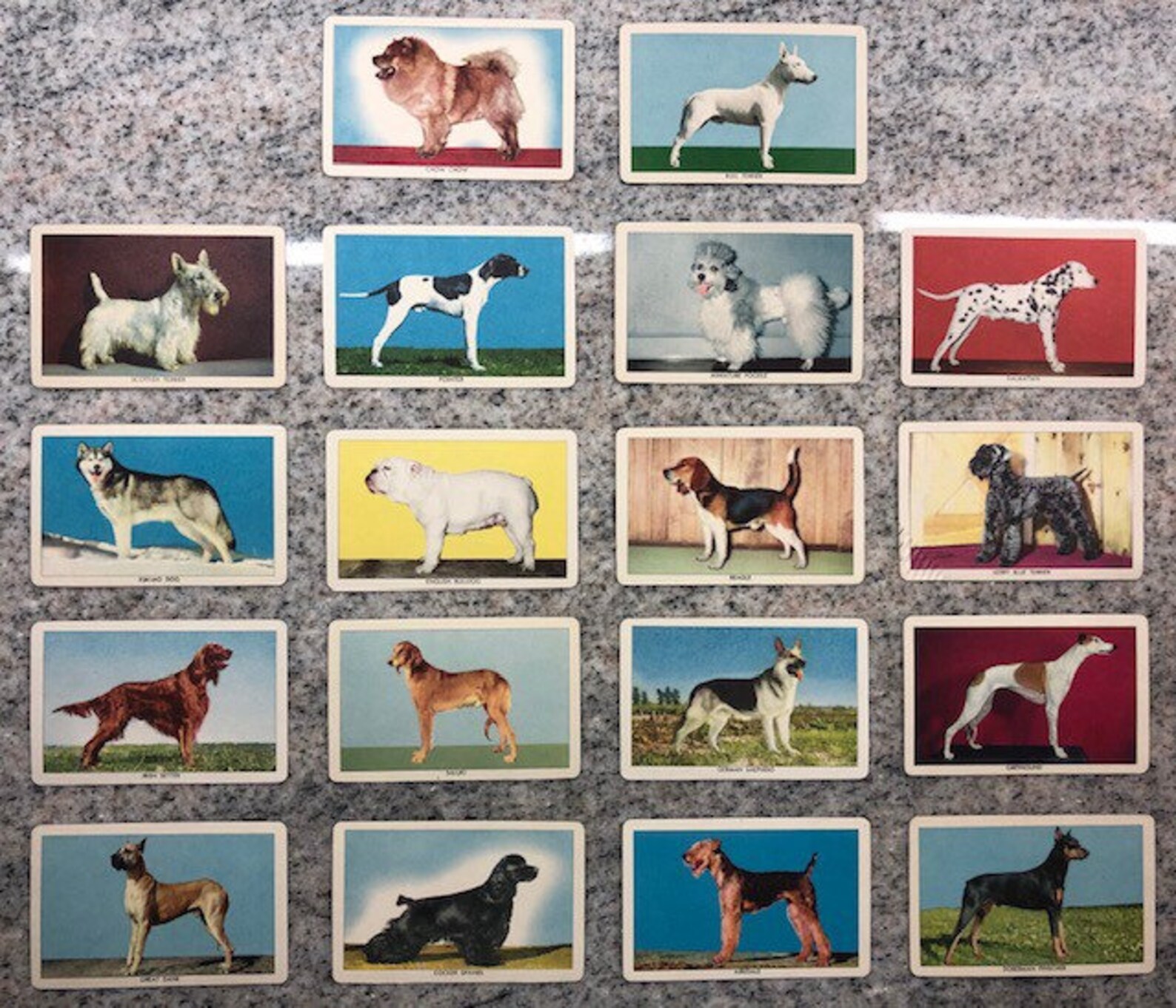 Set of 18 Vintage Dog Trading Cards Etsy UK