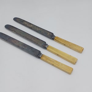 May include: Three silver butter knives with bone handles. The knives have a dull finish and the handles are a light beige color.