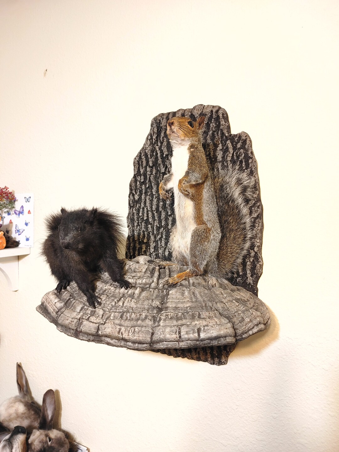 Pair of Squirrels Taxidermy Lifesize Mount Taxidermy Mount Etsy