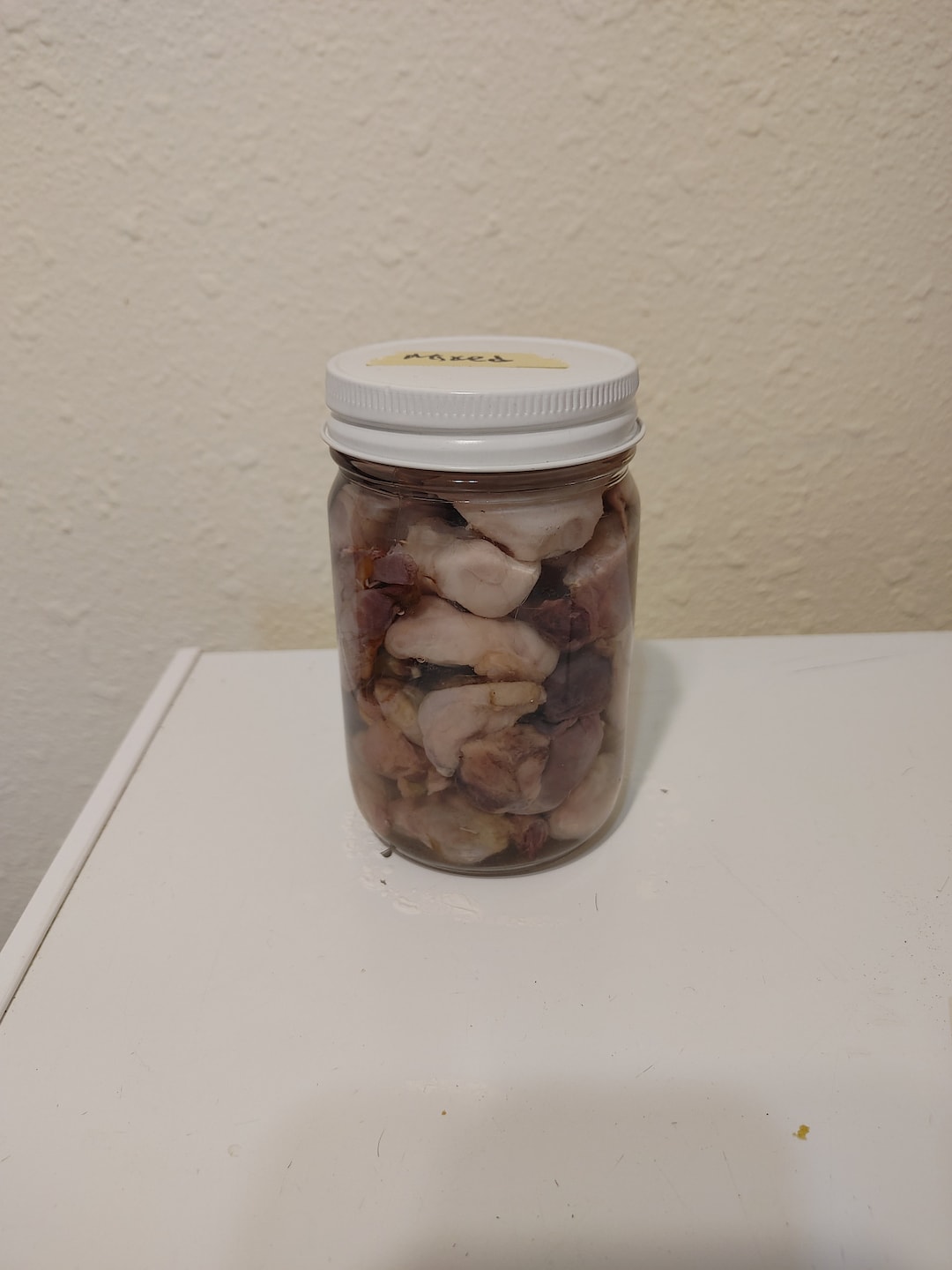Mixed Testicles Wet Specimen includes Jar Taxidermy Etsy