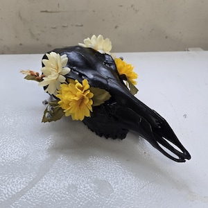 May include: A black cow skull decorated with yellow and cream-colored artificial flowers. The skull is positioned on a white surface, with the flowers clustered around the top and side of the skull. The skull has a glossy finish.