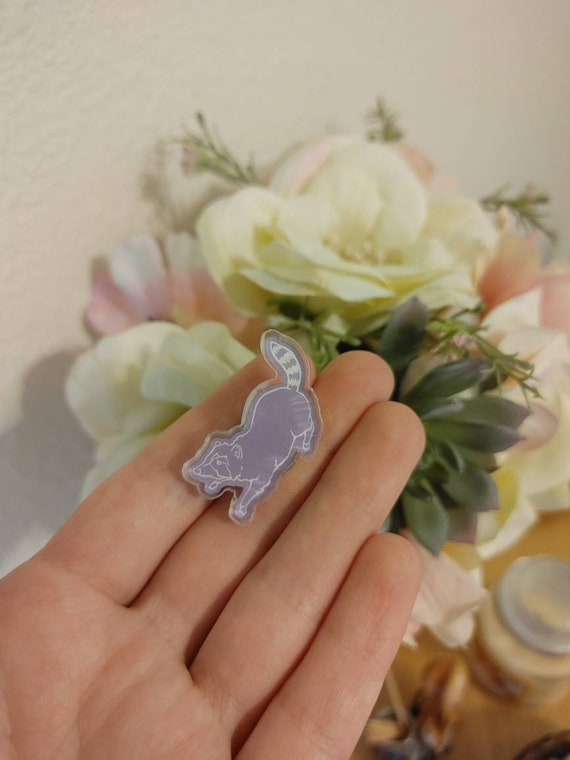 Raccoon Logo Pin - Raccoon Pin, Vulture Culture Pin, Oddities and Curiosities, Raccoon Skull, Raccoon Taxidermy, Skull Pin, Small Pin