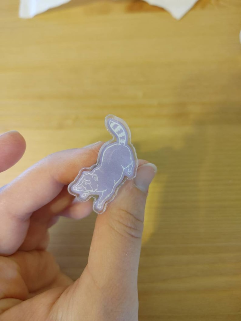 May include: A clear plastic pin with a white outline of a raccoon. The raccoon is facing to the left and has a striped tail.
