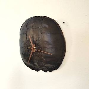 Snapping Turtle Shell Clock - Taxidermy Clock, Wall Hanging Decor ...