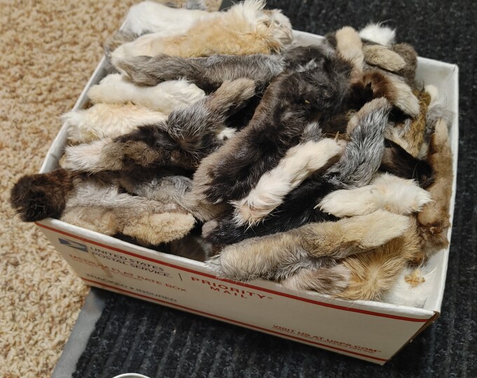 Bulk Preserved Rabbit Feet (choose Your Amount!) - Taxidermy Craft ...