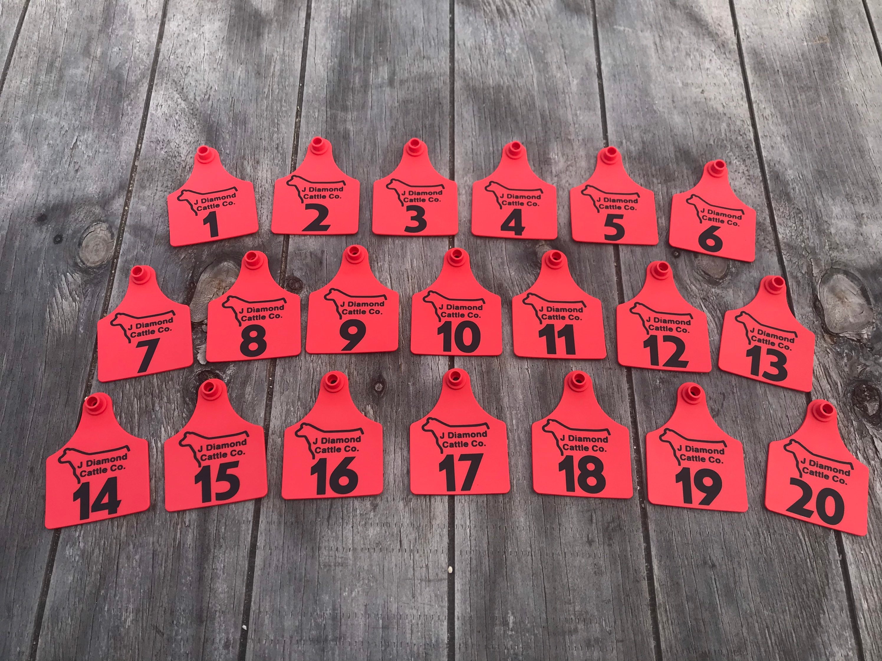 Custom One Color Ranch Cattle Tag Livestock ID Tag Etsy