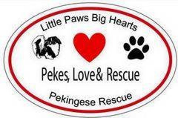 little paws of love rescue