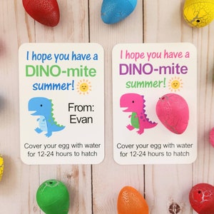 End of School Favors, Dinosaur Egg Favors, Dinosaur Favors, Kids Class Favors, Dinosaur Summer Favors, Dinosaur Party Favors, Kids Class