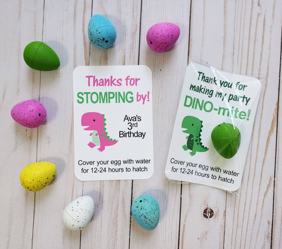 Dinosaur Birthday, Kids Dinosaur Party, Dinosaur Egg Favors