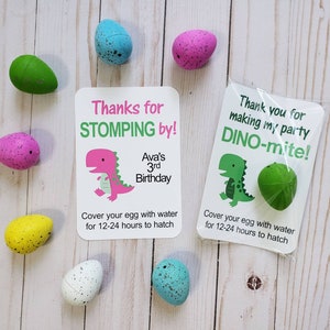 Dinosaur Birthday, Kids Dinosaur Party, Dinosaur Egg Favors, Dinosaur Favors, Dinosaur Party Favors, Dinosaur Birthday Party, Kids Dinosaur