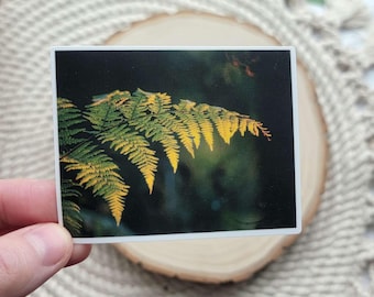 Fern Sticker: Botanical Leaf Decal for Water Bottles, Journals, Laptop, & Kindles