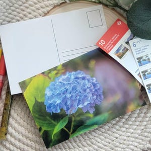 Blue Hydrangea Floral Postcard 4x6 Premium Cardstock Elegant Stationery for Writing & Framing Perfect Gift for Garden Lovers