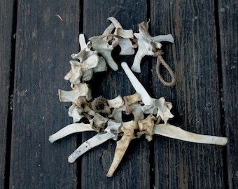 Small Deer Vertebrae Hanger