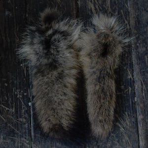 Dry Preserved Coyote Tail