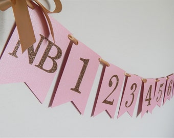 Pink and Gold First Year Banner, First Year Twinkle Banner, First Birthday Monthly Banner, Pink and Gold Glitter Banner, Happy Birthday