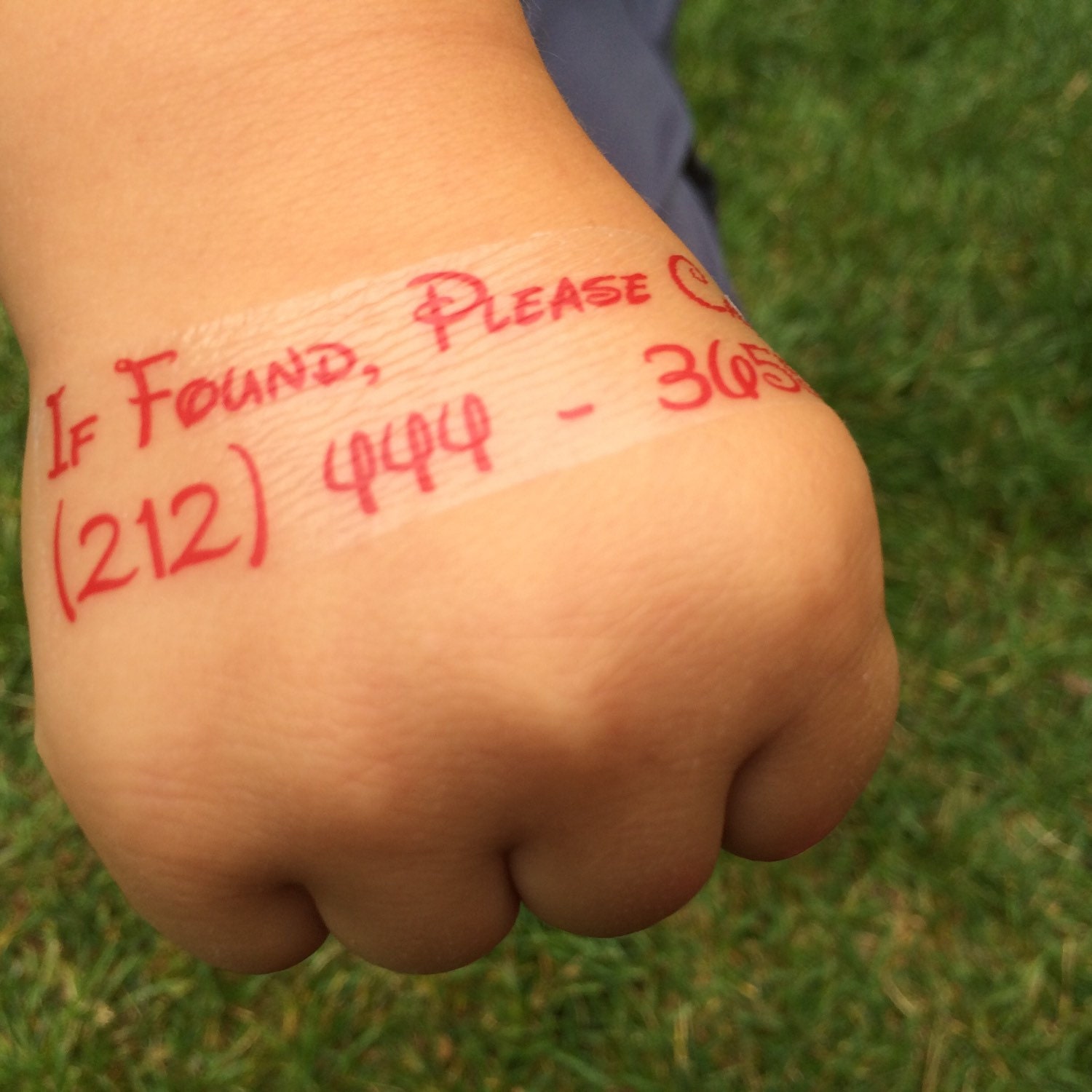 Lost Fake Id
