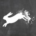 White Rabbit
