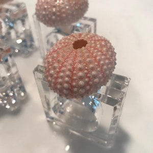 6 High gloss oyster shell lucite napkin rings 6 High gloss oyster shell lucite napkin rings