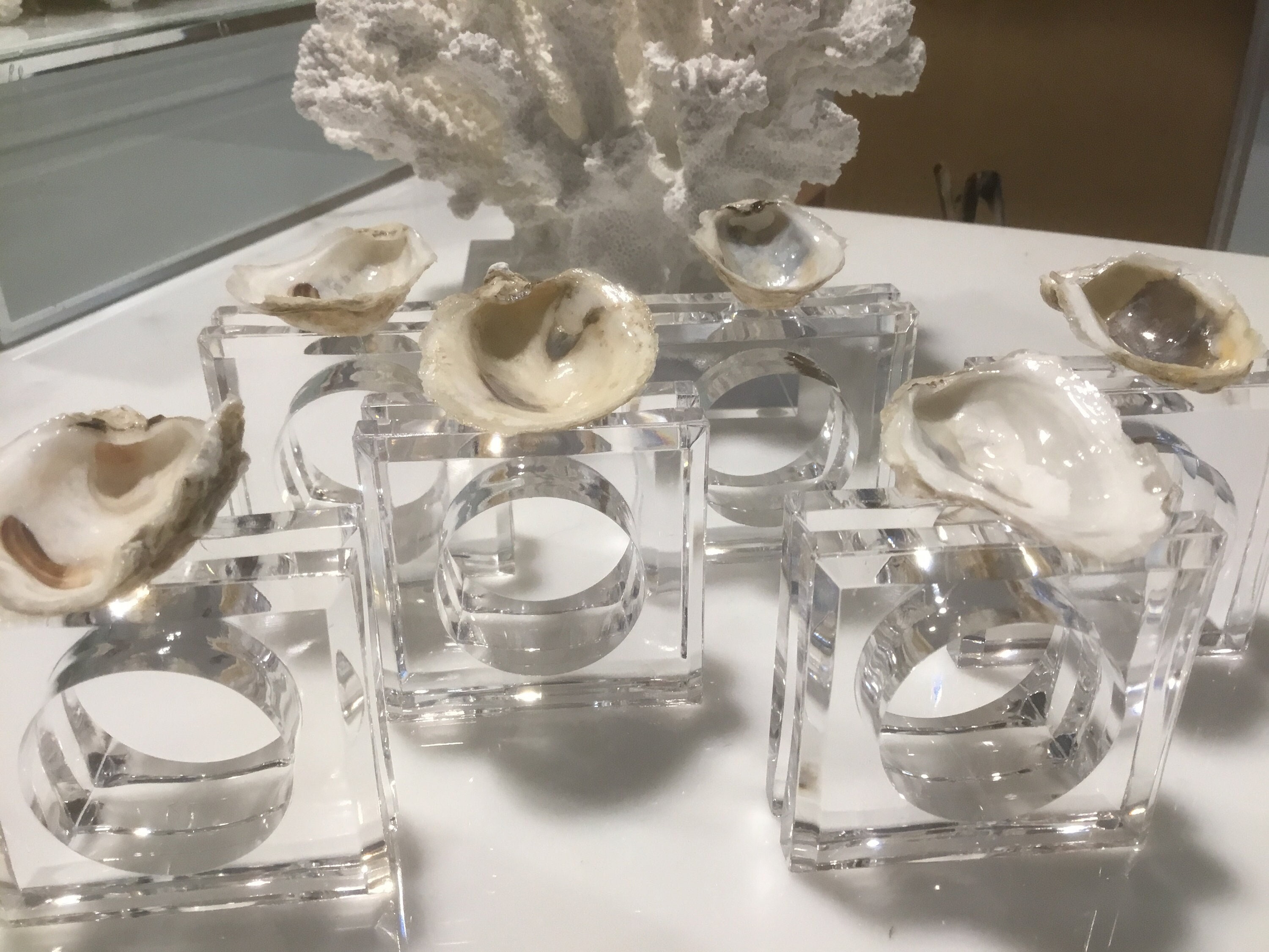 6 High gloss oyster shell lucite napkin rings