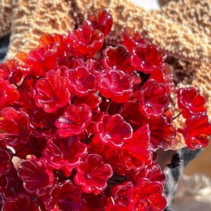 14pc Transparent Red Glass Flower Pin Charms-Glass Headpins - Millinery - Flower Beads - Handcrafted - Brass Wire.{D9-148#001058}