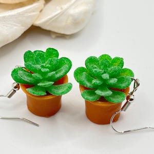 May include: A pair of dangle earrings featuring small potted succulent plants. The succulents are green and the pots are orange.