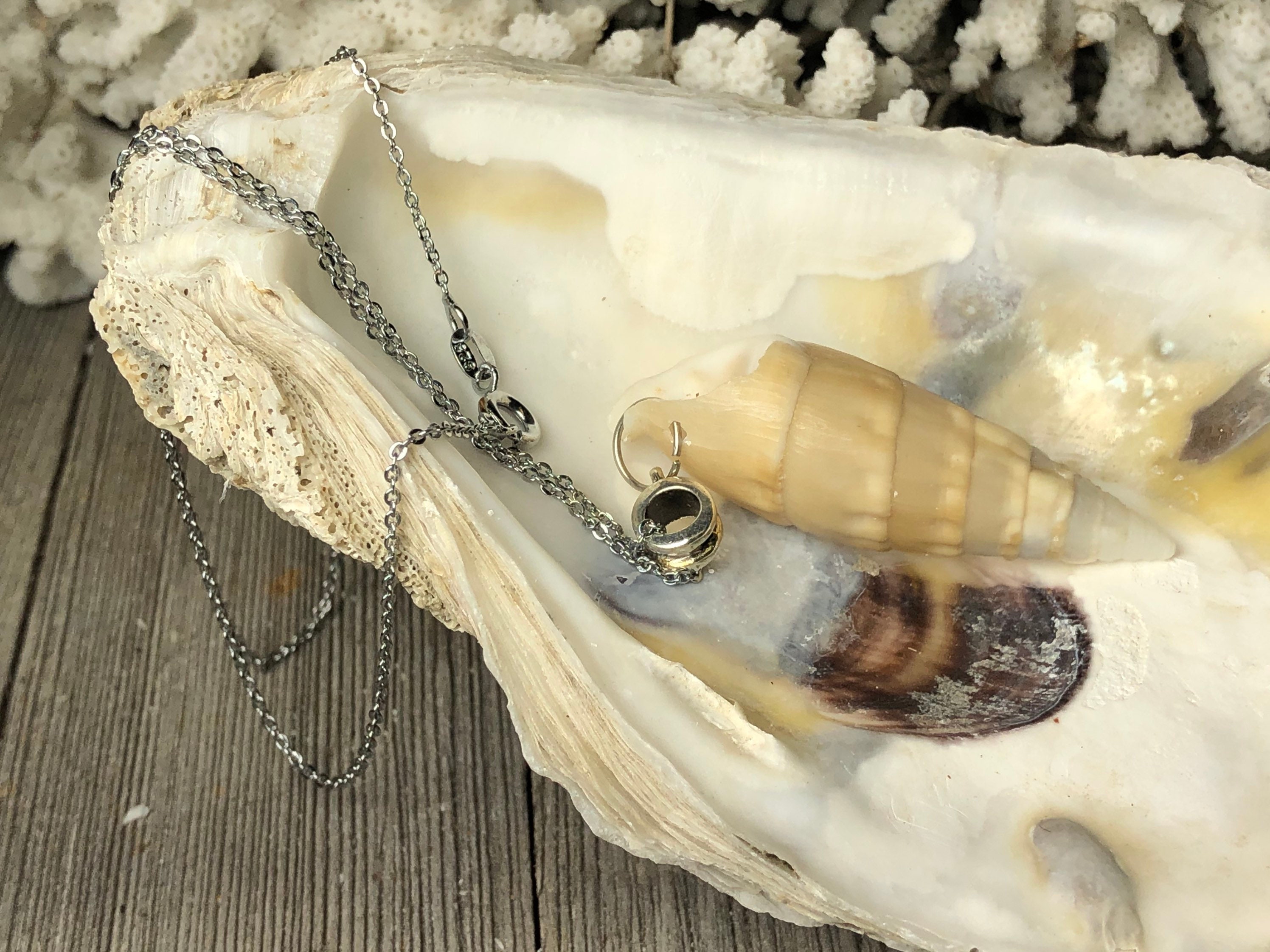 Sea Shell Pendant Necklace/ Natural Seashell Jewelry/ Beach