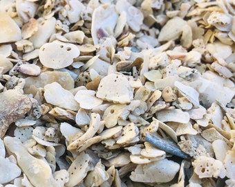 SUPPLIES: 2 CUP-Small Pieces of Sea Shells -Sand and Shells - Natural Shell. Crushed Seashells -Fairy Garden Accessories.{B4-56#00270}