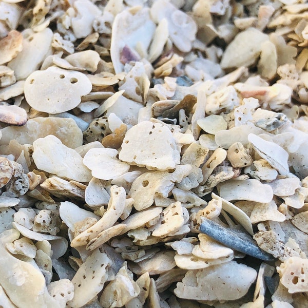 SUPPLIES: 2 CUP-Small Pieces of Sea Shells -Sand and Shells - Natural Shell. Crushed Seashells -Fairy Garden Accessories.{B4-56#00270}