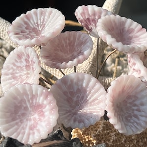 以下が含まれることがあります： ピンクのアクセントが付いた繊細な白いガラスの花の集まり。花は自然素材の土台に配置され、幻想的でエレガントなディスプレイになっています。