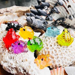 May include: A selection of small, brightly coloured frog ornaments in shades of red, yellow, green, purple, and blue. The frogs are arranged on a white, textured surface, with seashells visible in the background.