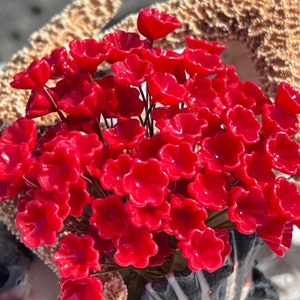 Peut inclure: Un bouquet de petites fleurs artificielles rouge vif avec un bord festonné. Les fleurs sont sur des tiges fines en fil de fer.