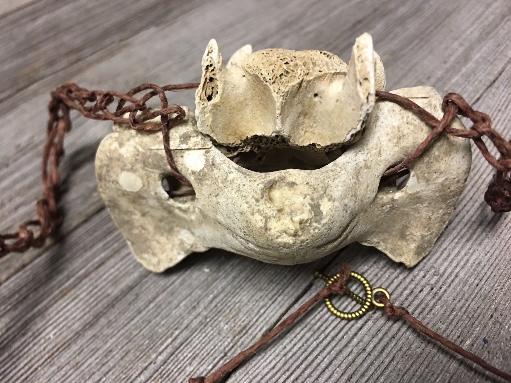 Real Bone Fish Spine Necklace: Crochet Hemp Braid - Etsy