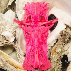 Pink Crucifix Fish Skull Bone: Tribal Decor Curiosity (5&quot; X 3&quot;)