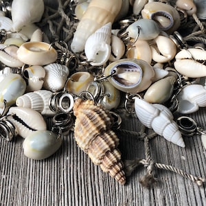 Könnte beinhalten: Eine Auswahl an Muscheln, darunter Kaurischnecken und Spiralmuscheln, wird gezeigt. Jede Muschel ist an einem silberfarbenen Metallring befestigt. Ein Abschnitt eines beigefarbenen Fischernetzes ist ebenfalls sichtbar. Die Muscheln sind auf einer verwitterten, grauen Holzoberfläche angeordnet.