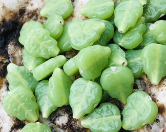 25 feuilles de feuilles vert opale en verre/Adorables perles de feuilles de verre de couleur jade.   {D2-120#000353}