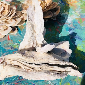 Op de afbeelding: Een witte, organische drijfhout sculptuur met een gelaagde, textuurrijke oppervlakte. Het drijfhout is gerangschikt in een unieke, abstracte vorm, die doet denken aan een vogel of een vis. Het drijfhout is geplaatst tegen een kleurrijke, abstracte achtergrond.