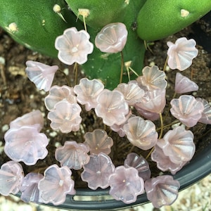 14pc Milky Plum Glass Flower Headpins -Charms- Glass Headpins - Millinery - Flower Beads- Handcrafted - Brass Wire. {N2-1534#001568}