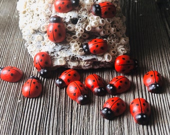 50 pezzi di coccinelle rosse in legno 3D con retro piatto / Cabochon / Scrapbooking / Abbellimenti / Ciondoli per la creazione di gioielli.{E3-166#01100}