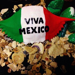 Crab Shell Art Mexico Flag  Ornament- Hostess Gift Party Favors-Hand Painted-Wedding Christmas Ornaments-SyroCa designs.{#.139}