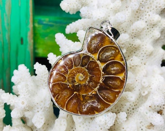 Sea Shell Anhänger / natürliche Muschel / Strand Schmuck / Boho Muschel.  {N7-1557#01736}