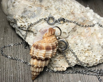 SUPPLY:  Sea Shell Pendant Necklace/ Natural Seashell Jewelry/ Beach Jewelry /Boho Shell Necklace/Shell Chain Necklace. {N7-1557#01736}