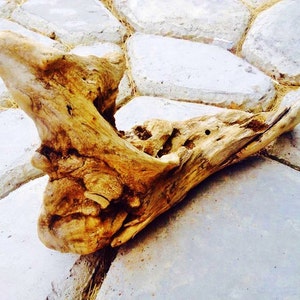 Driftwood Assortment Unique piece - Craft Supplie.{F1-194#00441}