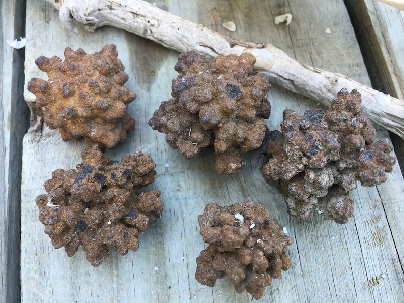 5 Natural Popcorn Rocks / Bubble Rocks / Amulets Magic Rocks/pyrite ...