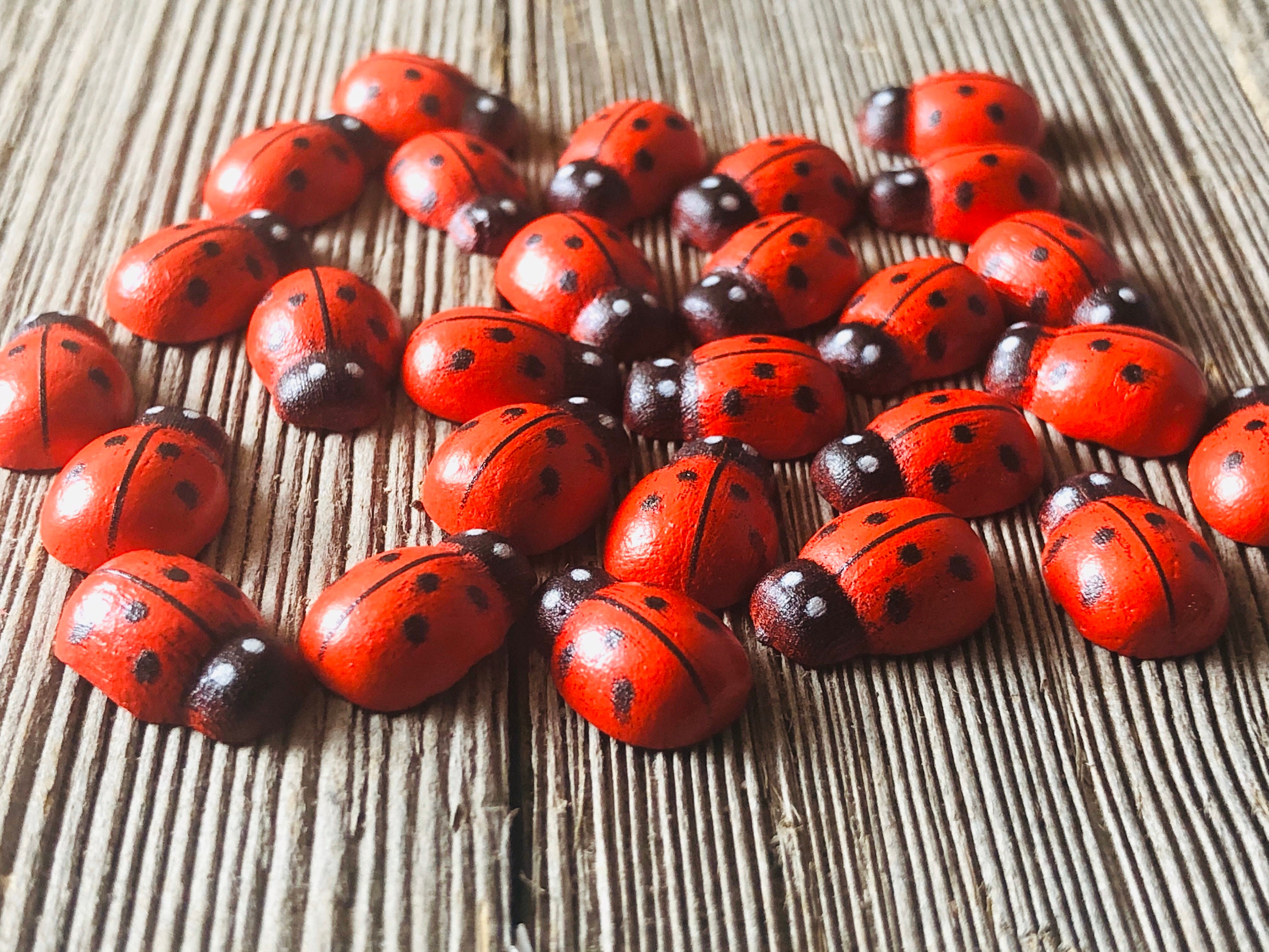 100 pezzi coccinella in legno dipinta, coccinella in legno adesivo 3D micro coccinella rossa flatback abbellimento autoadesivo per decorazione scrapbooking carta fai da te