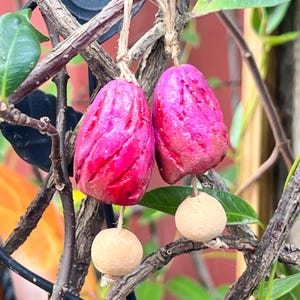 Pair of Terra Cotta Pods /Hand Painted Terra Cotta Beads/Ceramic Beads . {E6-175#001124}